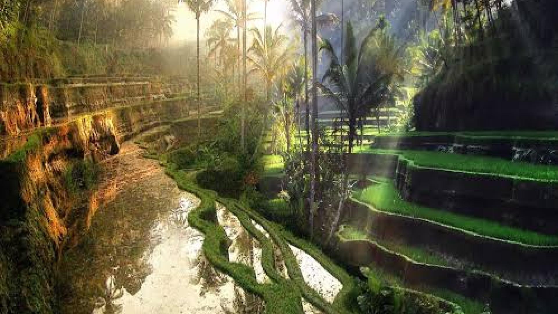 Bali - Indonesia